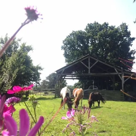 Dpt44 A La Ferme Accueil Pmr *