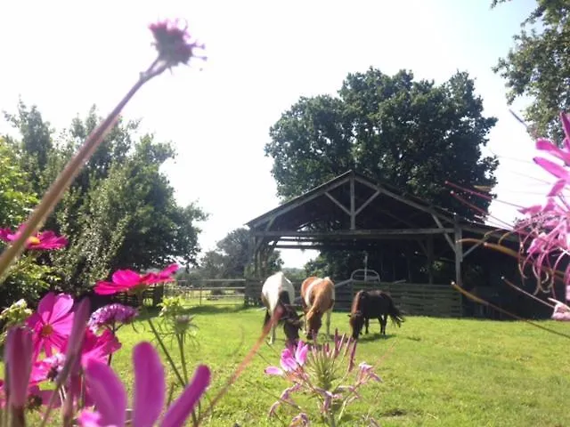 Dpt44 A La Ferme Accueil Pmr *